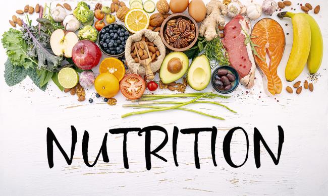 The Essential Guide to Health and Nutrition